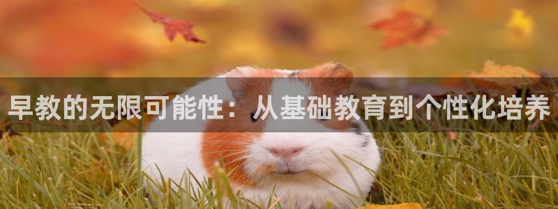 天顺娱乐寿：早教的无限可能性：从基础教育到个性化培养