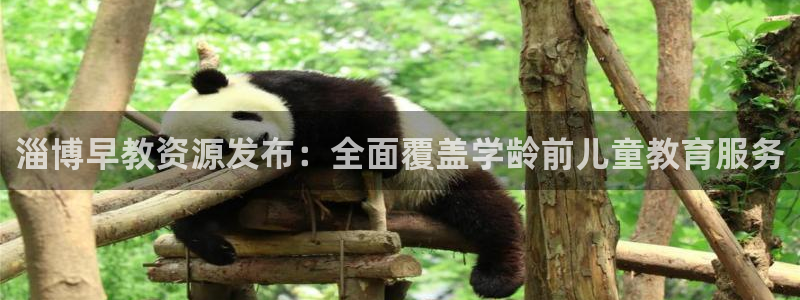 天顺娱乐棋牌怎么样啊：淄博早教资源发布：全面覆盖学龄前儿童教育服务