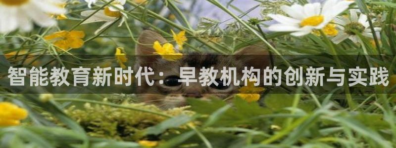 天顺娱乐负责人身粮pg22650：智能教育新时代：早教机构的创新与实践