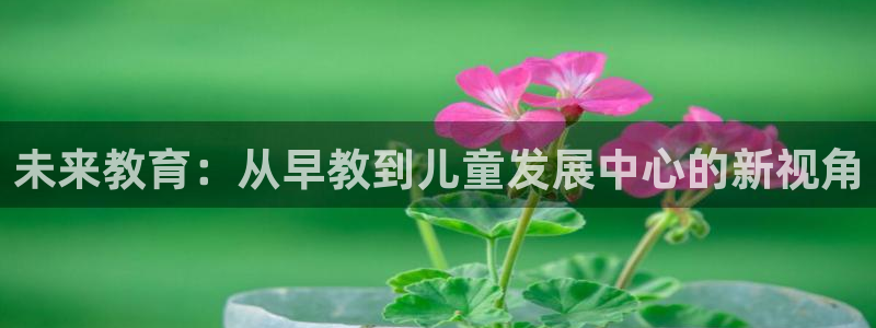 天顺娱乐主管年薪多少啊：未来教育：从早教到儿童发展中心的新视角