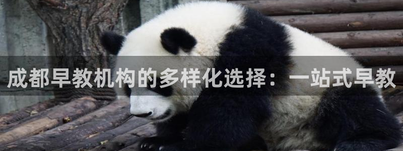 天顺娱乐负责人赤廉pg29999:成都早教机构的多样化选择:一站式早教