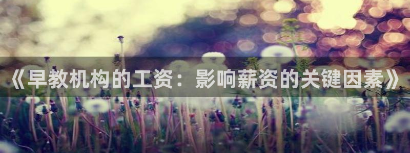 天顺娱乐注册：《早教机构的工资：影响薪资的关键因素》
