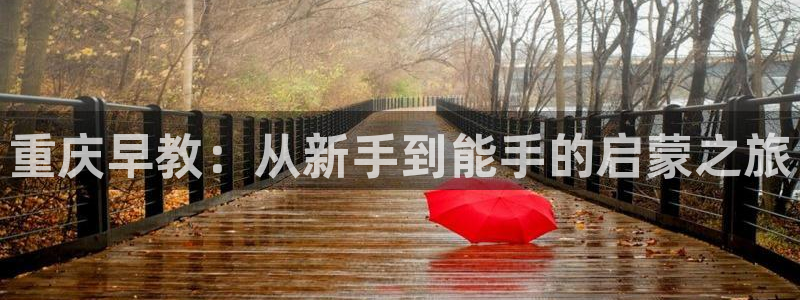 天顺娱乐固70 48:重庆早教:从新手到能手的启蒙之旅