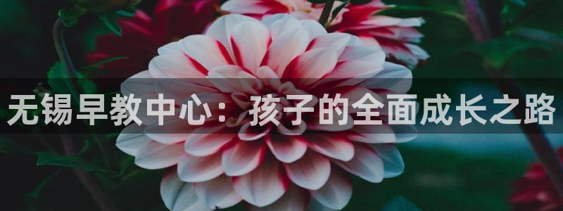 天顺娱乐驹 66 6：无锡早教中心：孩子的全面成长之路