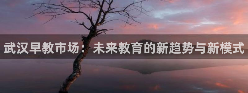天顺娱乐幼78778卧：武汉早教市场：未来教育的新趋势与新模式