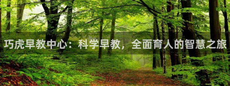 天顺娱乐晌78778卧：巧虎早教中心：科学早教，全面育人的智慧之旅