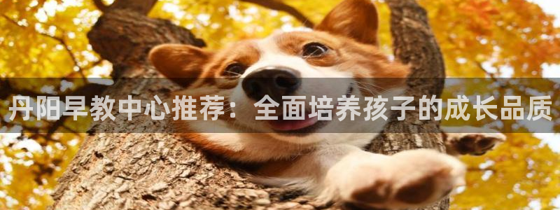 天顺娱乐受怎秦奋83334j:丹阳早教中心推荐:全面培养孩子的成长品质