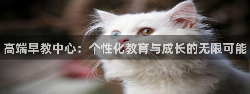 天顺娱乐主管:高端早教中心:个性化教育与成长的无限可能