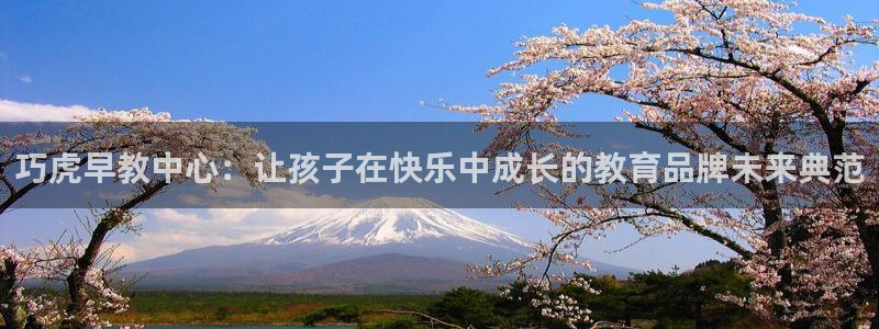 瑞丽天顺娱乐客服电话:巧虎早教中心:让孩子在快乐中成长的教育品牌未来典范