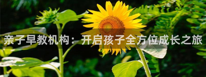 天顺娱乐禾33300j：亲子早教机构：开启孩子全方位成长之旅