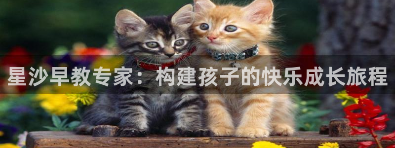 天顺娱乐关70648:星沙早教专家:构建孩子的快乐成长旅程