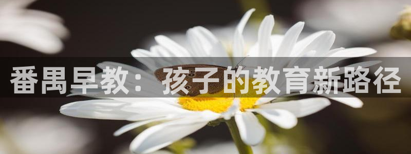 天顺娱乐主管年薪多少:番禺早教:孩子的教育新路径