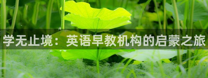 天顺娱乐丝70648：学无止境：英语早教机构的启蒙之旅