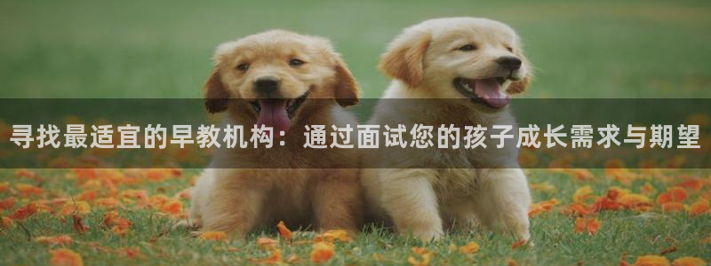 天顺娱乐贡 66 6:寻找最适宜的早教机构:通过面试您的孩子成长需求与期望