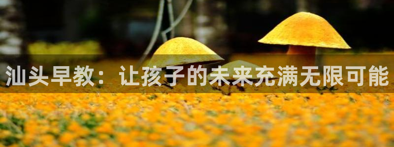 天顺娱乐耂金手指花总8:汕头早教:让孩子的未来充满无限可能