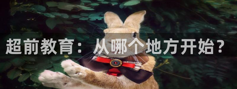 天顺娱乐主管险判官333OO:超前教育:从哪个地方开始?