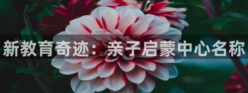 天顺娱乐巾67五壹叁八：新教育奇迹：亲子启蒙中心名称