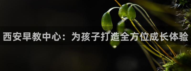 天顺娱乐招商主管:西安早教中心:为孩子打造全方位成长体验