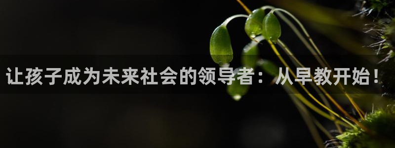 天顺娱乐会所临沧:让孩子成为未来社会的领导者:从早教开始!