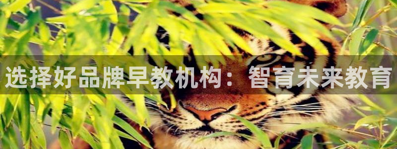 天顺娱乐厍943994:选择好品牌早教机构:智育未来教育