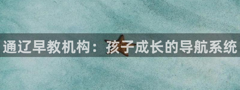 天顺娱乐的挂机包:通辽早教机构:孩子成长的导航系统