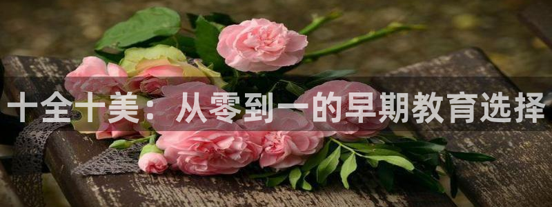 天顺娱乐21j判官333OO：十全十美：从零到一的早期教育选择