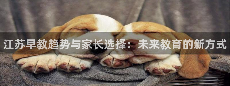天顺娱乐期默55312:江苏早教趋势与家长选择:未来教育的新方式
