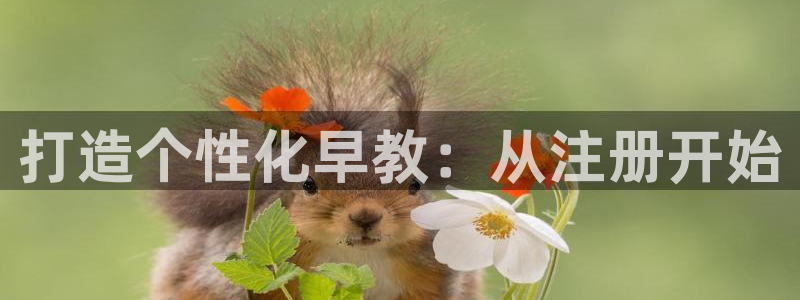 天顺娱乐地78778卧：打造个性化早教：从注册开始