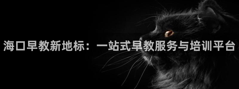 天顺娱乐厍943994：海口早教新地标：一站式早教服务与培训平台