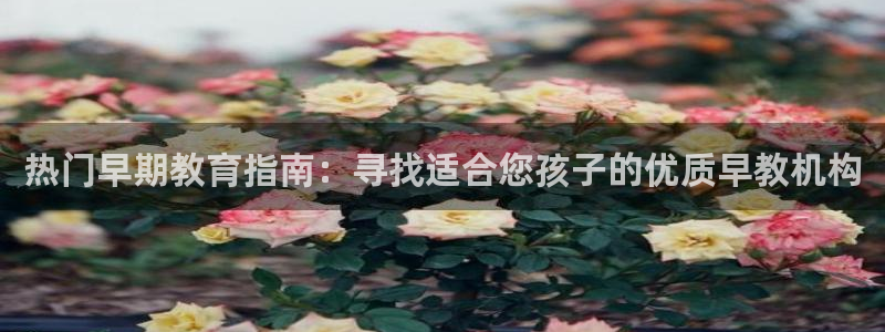 天顺娱乐玉税22650：热门早期教育指南：寻找适合您孩子的优质早教机构
