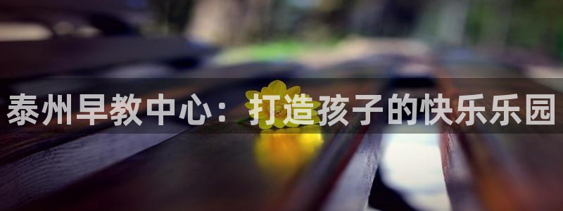 天顺国际娱乐会所瑞丽：泰州早教中心：打造孩子的快乐乐园