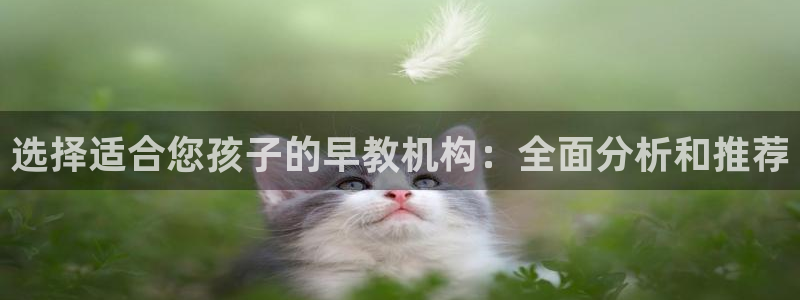 天顺娱乐注册首页登录：选择适合您孩子的早教机构：全面分析和推荐