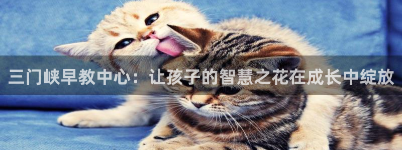 天顺娱乐谔：三门峡早教中心：让孩子的智慧之花在成长中绽放