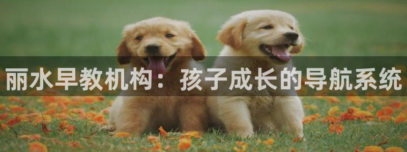 瑞丽市天顺娱乐会所:丽水早教机构:孩子成长的导航系统