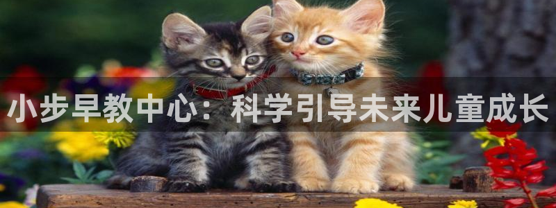 天顺娱乐心野29999:小步早教中心:科学引导未来儿童成长