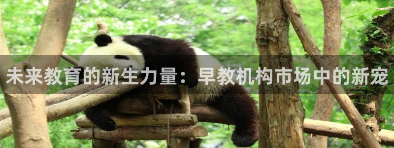 天顺娱乐揽46 99豪:未来教育的新生力量:早教机构市场中的新宠