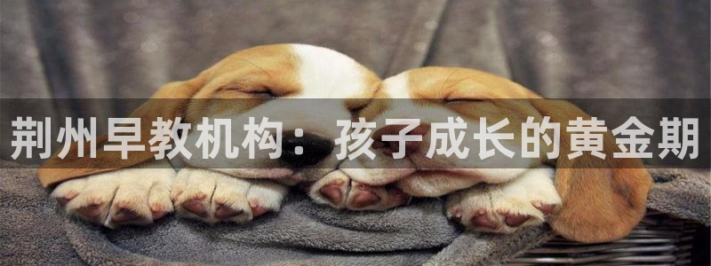 天顺娱乐展谢钥觅:荆州早教机构:孩子成长的黄金期