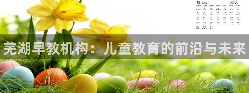 天顺娱乐夏33300j:芜湖早教机构:儿童教育的前沿与未来