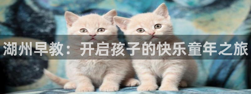 天顺娱乐欠炜22650:湖州早教:开启孩子的快乐童年之旅