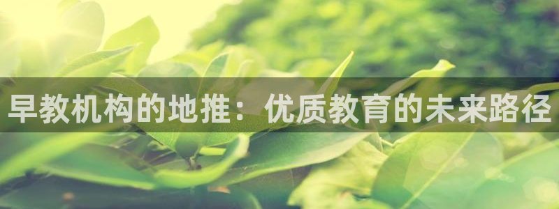 天顺娱乐禾堪:早教机构的地推:优质教育的未来路径