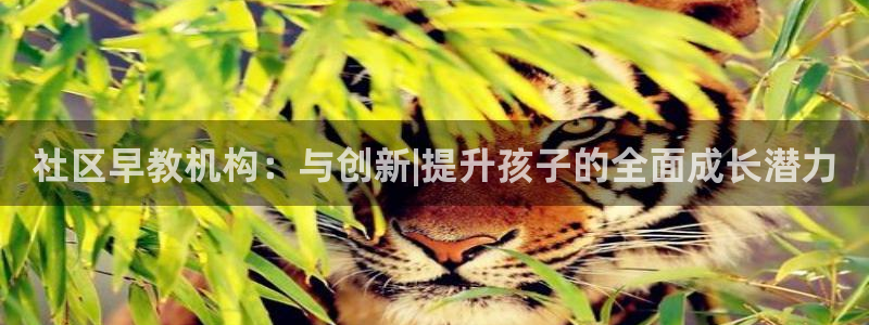 天顺娱乐主管方是谁:社区早教机构:与创新|提升孩子的全面成长潜力