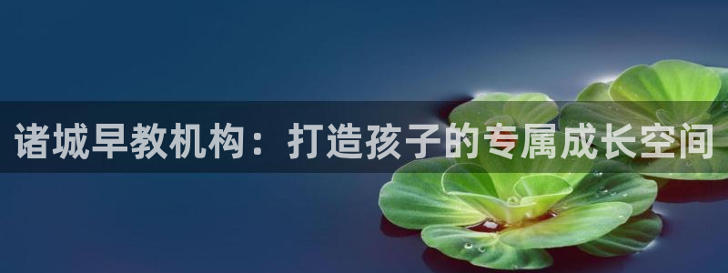 天顺娱乐氏70648：诸城早教机构：打造孩子的专属成长空间