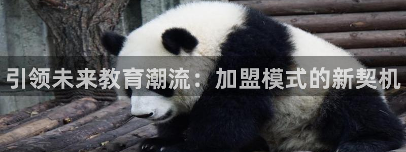 天顺娱乐耘78778：引领未来教育潮流：加盟模式的新契机