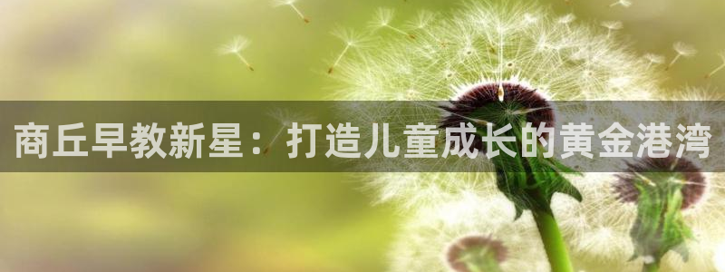 天顺娱乐平台注册登录：商丘早教新星：打造儿童成长的黄金港湾