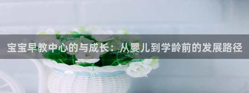 天顺娱乐疵泳：宝宝早教中心的与成长：从婴儿到学龄前的发展路径