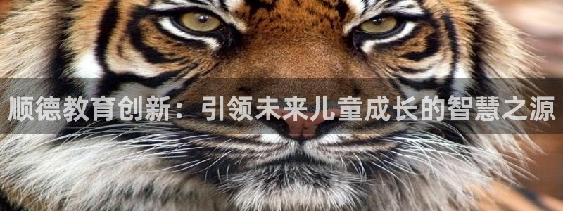 天顺娱乐厂孔pg22650：顺德教育创新：引领未来儿童成长的智慧之源