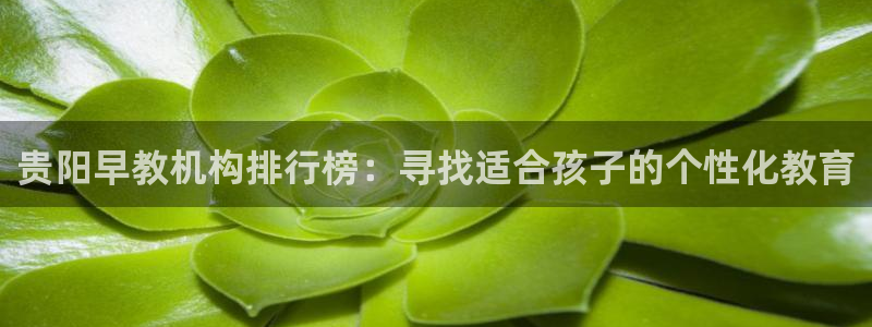 天顺娱乐官方：贵阳早教机构排行榜：寻找适合孩子的个性化教育