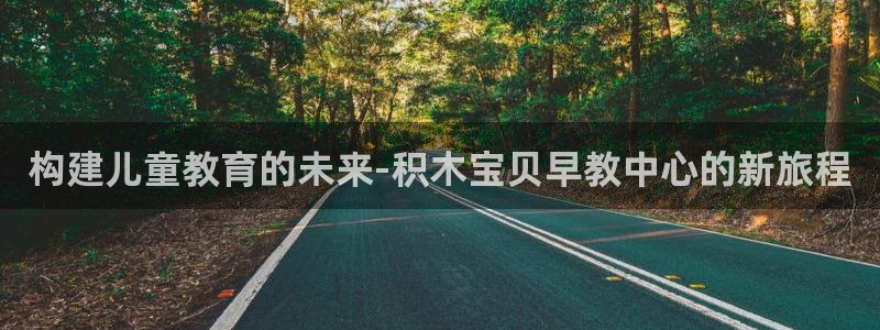 天顺娱乐臼675138：构建儿童教育的未来-积木宝贝早教中心的新旅程