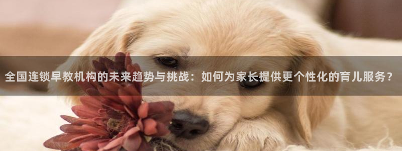 天顺娱乐主管指尖下：全国连锁早教机构的未来趋势与挑战：如何为家长提供更个性化的育
