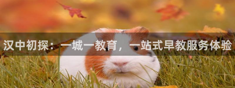 天顺娱乐眉丝70648:汉中初探:一城一教育,一站式早教服务体验